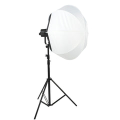 Nanlite 300S